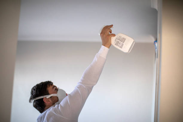 Best Industrial Mold Remediation in Zion, IL